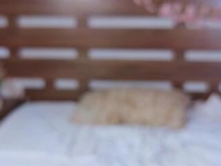  taite_charton chat room