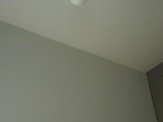  mao_searls chat room