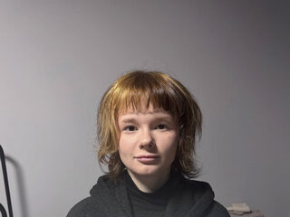 Mikassa Bowl live webcam model