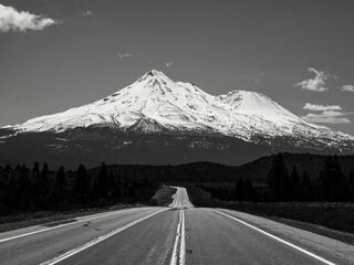 Molly Smitt live webcam model